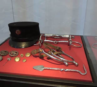 Gestütsmuseum Offenhausen