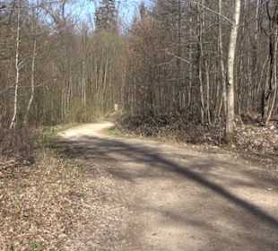 Premiumwanderweg "hochgeblickt"