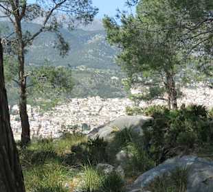 Wandern Pollença / Pollensa