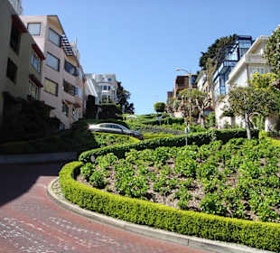 Wunderschöne Kurven