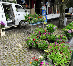 Rundgang über den Wochenmarkt von Tempio Pausania