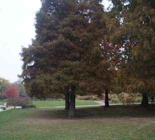 Parkanlage Planten un Blomen