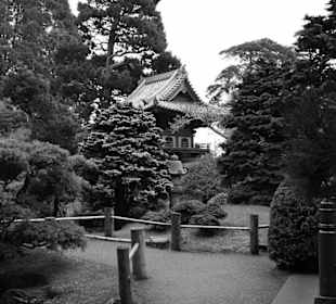 Impressionen eines Parks