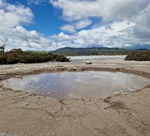Geothermal Walking Track