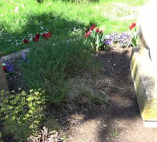 Skulptur Saupredigt