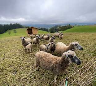 Wandern St. Jakob im Walde