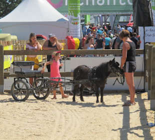 Auch für Kinder gibt es etwas zu sehen und zu tun