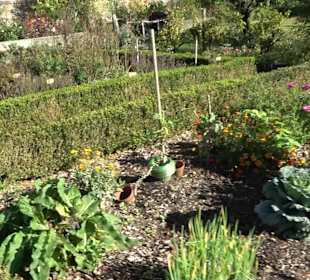 Klostergarten - Garten der Pilger Oberelchingen