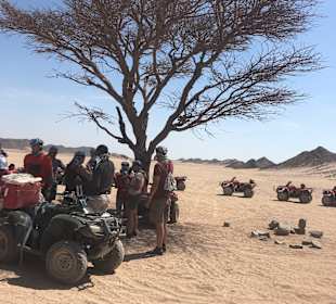Quad Tour Makadi Bayg