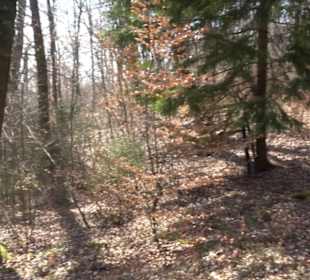 Geologischer Lehrpfad Kirnbachtal