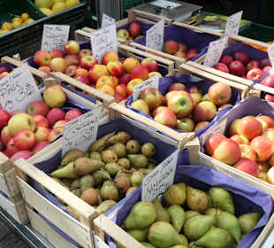 In Würzburg am Unteren Markt