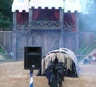 2008 "Das Schicksal der Gefährtin!"