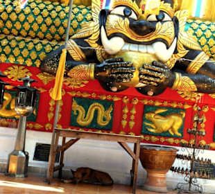 Entdecker Tour: Geheimnisvolles Bangkok
