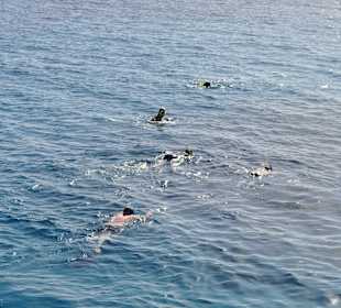 Snorkelen in de buurt van Giftun eiland