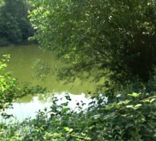 Sulzbachstausee