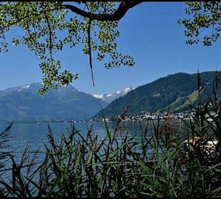 Zeller See