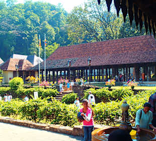 Dziedziniec przed Świątynią