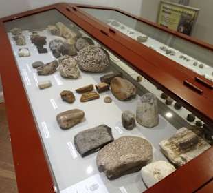 Naturwissenschaftliches Museum