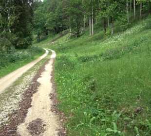 Tiefental Aichstetten