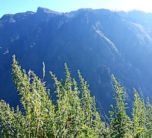 Colca-Canyon