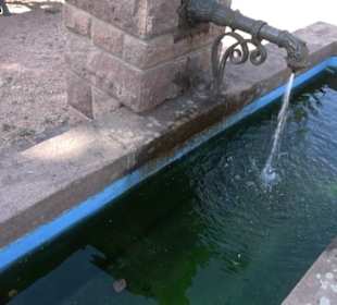 Alice Blessing Brunnen Klosterreichenbach