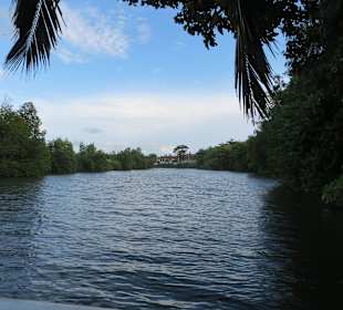 Flussfahrt direkt vor dem Club Hotel Dolphin mit Haralds Boo