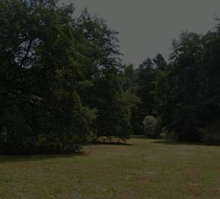 Naturschutzgebiet Forchenkopf Wittlensweiler