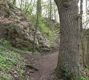 Wanderung rund um das Rusenschloss Gerhausen