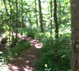 Premiumwanderweg "hochgelegen"