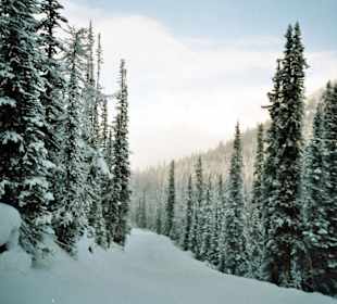 Lacke Louise, to Base