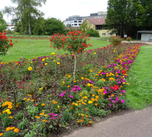 Höhenpark Killesberg