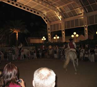 Ein Teil der Reitshow