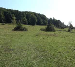Premiumwanderweg "hochgesprudelt"