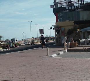 Naama Bay