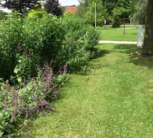 Blühendes Neresheim 2021