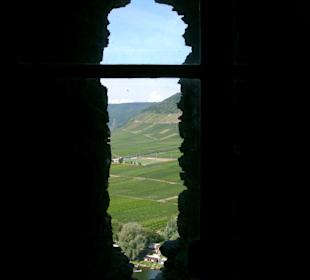 Burgruine Metternich