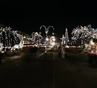 Rosenplatz / Piata Trandafirilor 