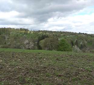 Naturerlebnisweg des NABU-Metzingen