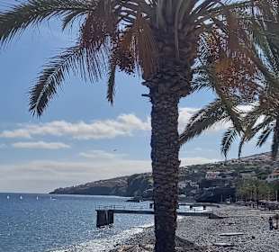 Inselrundfahrt Madeira