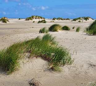 Strand Borkum