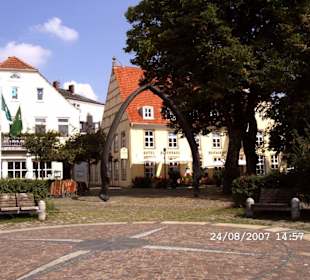 Abguß eines Walloberkieferknochens