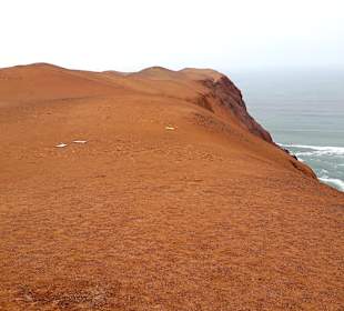Nationalreservat Paracas