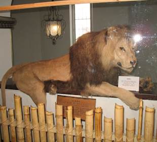 Naturhistorisches Museum