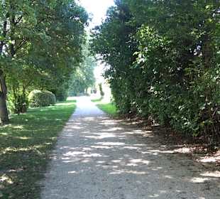 Schaukelweg an der Donau