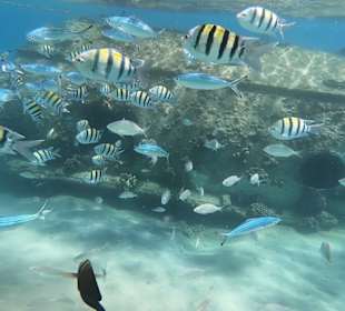 Schnorcheln Hurghada