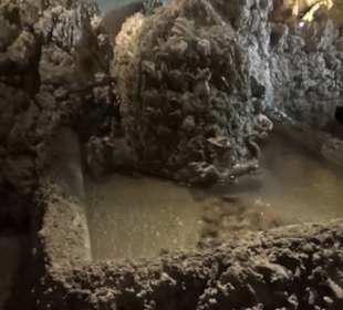 Wasserspiele - Grotte - Vogelsang