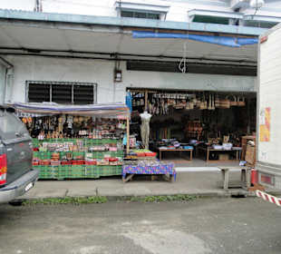 Wildlife Expeditions