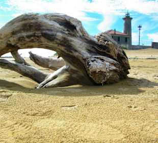 Ende September 2010 Inspirationen