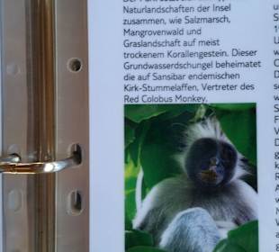 Ausflug zu den Affen