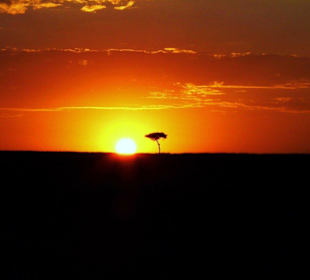 Sonnenaufgang Masei Mara